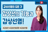 [갑상선염의 모든 것] 갑상선의 기능과 갑상선염